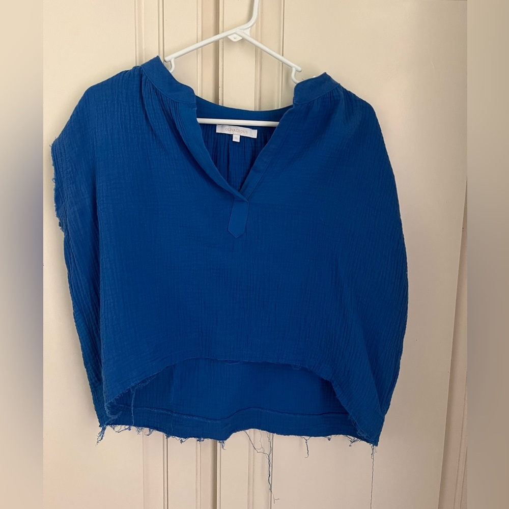 olivaceous large blue sleeveless top